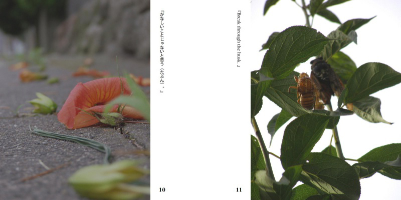 フォトブック 10ページ目