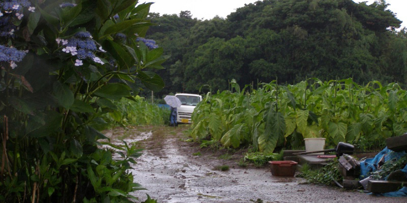 フォトブック 20ページ目
