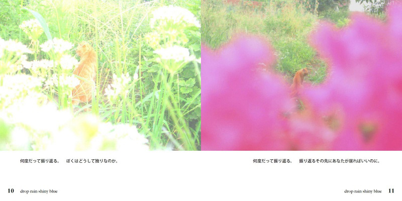 フォトブック 10ページ目