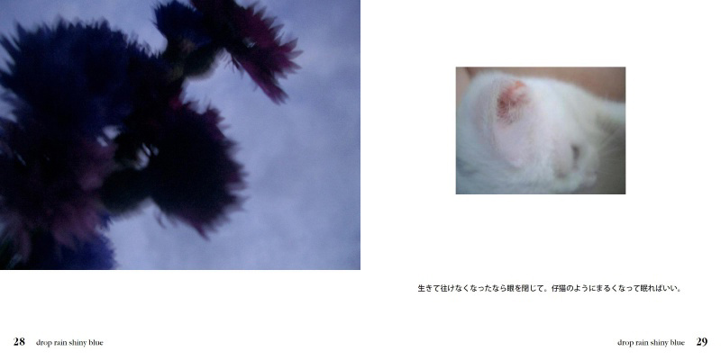 フォトブック 28ページ目