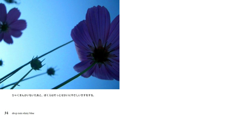 フォトブック 34ページ目