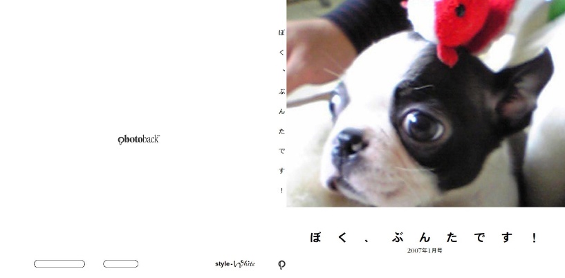 フォトブック ジャケット