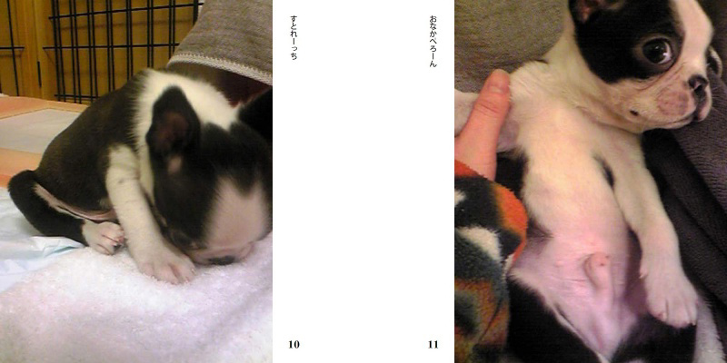 フォトブック 10ページ目