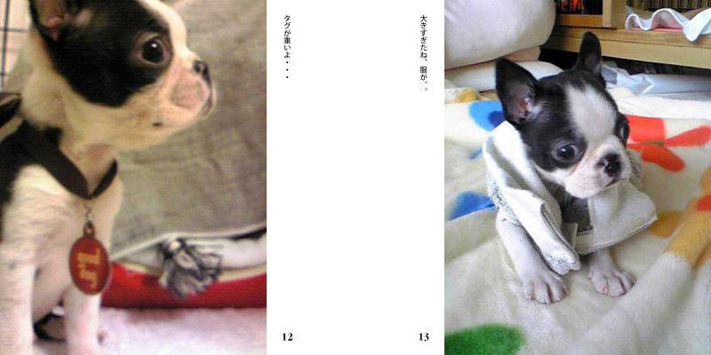 フォトブック 12ページ目