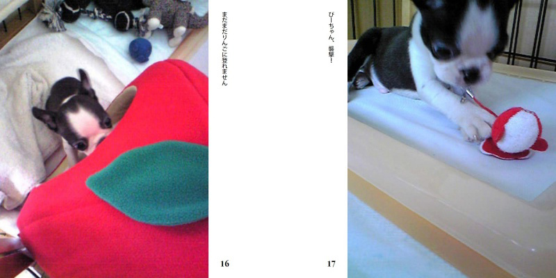 フォトブック 16ページ目