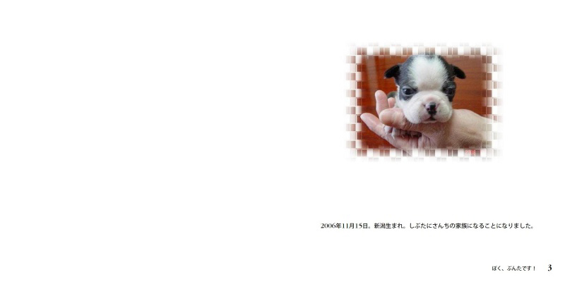 フォトブック 2ページ目