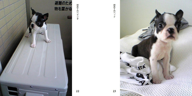 フォトブック 22ページ目