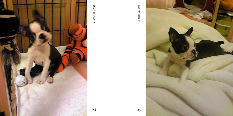 フォトブック 24ページ目