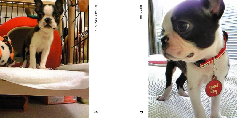 フォトブック 28ページ目