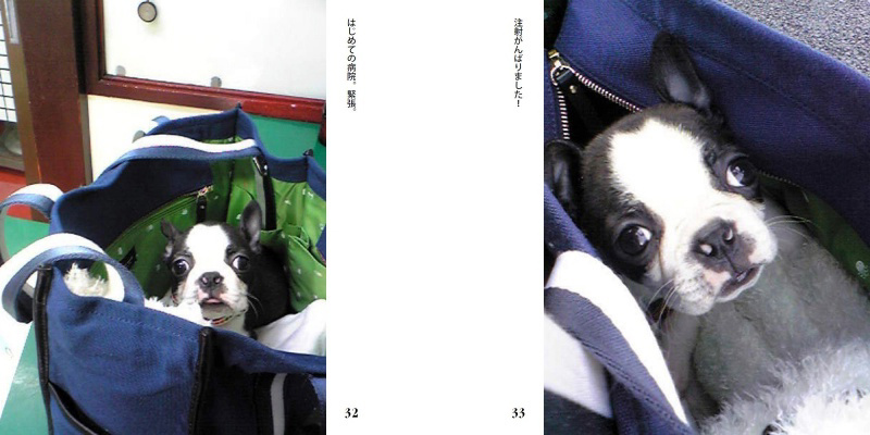 フォトブック 32ページ目