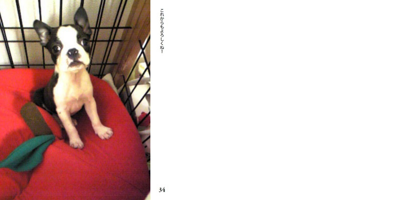 フォトブック 34ページ目