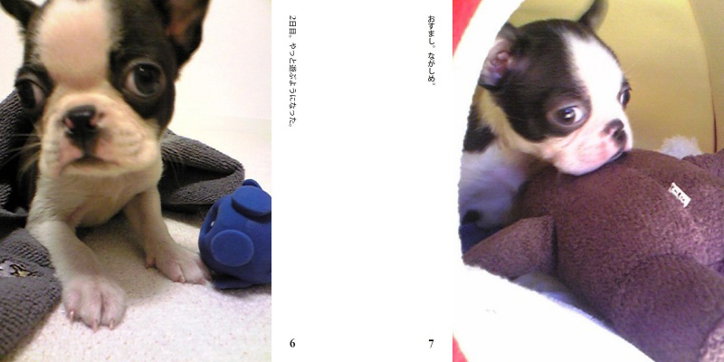 フォトブック 6ページ目