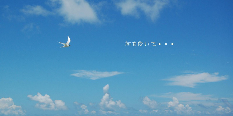 フォトブック 10ページ目