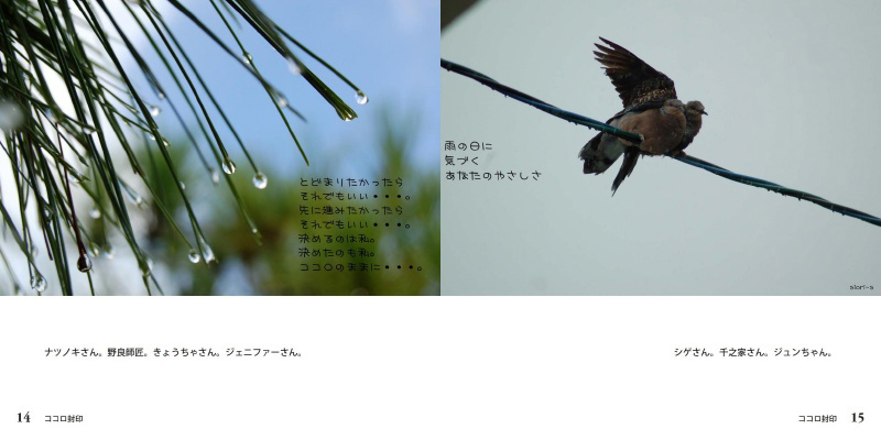 フォトブック 14ページ目