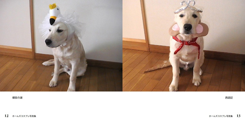 フォトブック 12ページ目