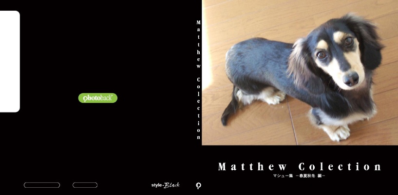 フォトブック ジャケット