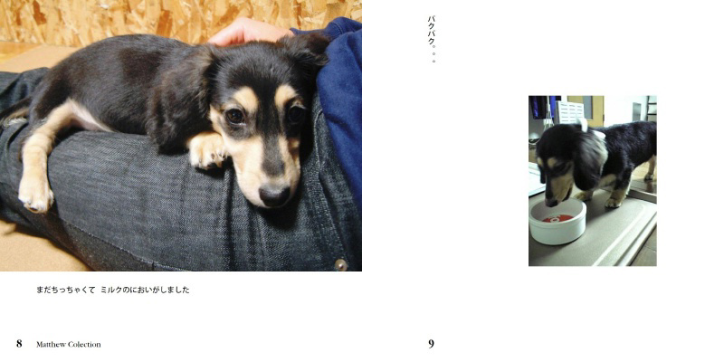 フォトブック 8ページ目