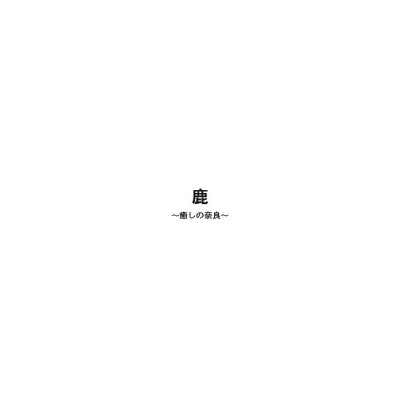 フォトブック 扉