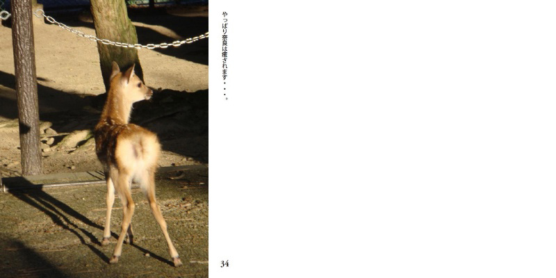 フォトブック 34ページ目