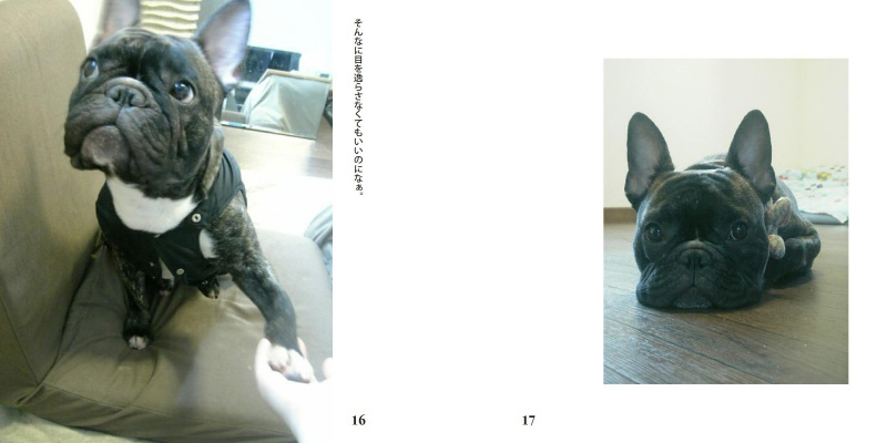 フォトブック 16ページ目