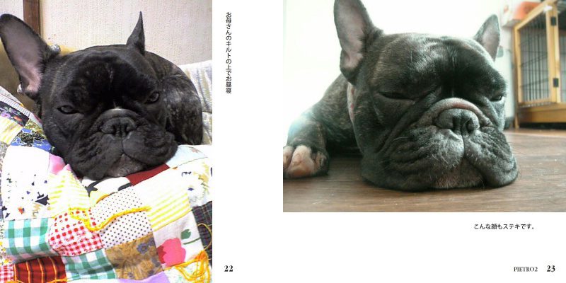 フォトブック 22ページ目