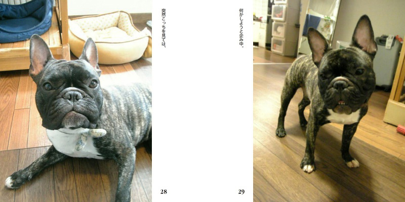 フォトブック 28ページ目