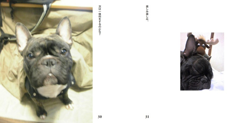 フォトブック 30ページ目