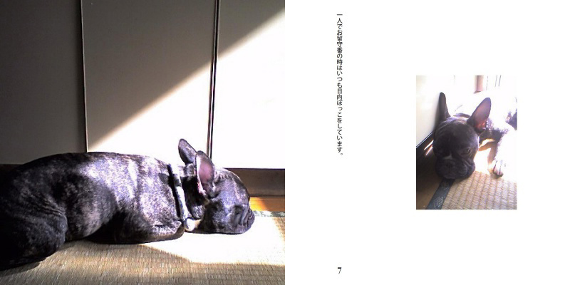 フォトブック 6ページ目