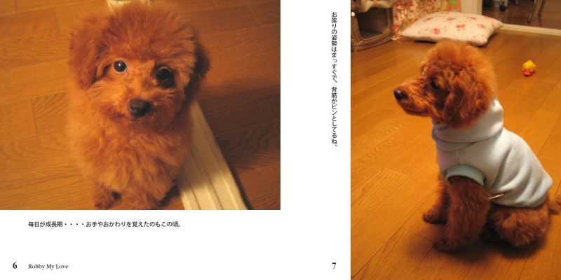 フォトブック 6ページ目