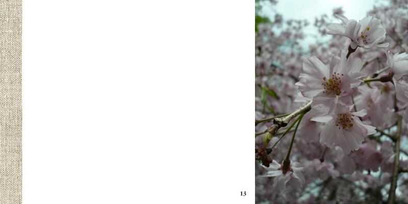 フォトブック 12ページ目