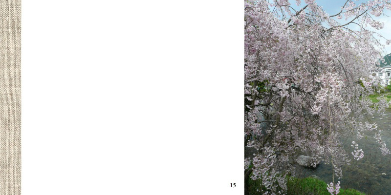 フォトブック 14ページ目