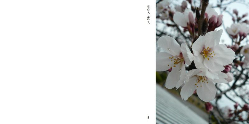 フォトブック 2ページ目