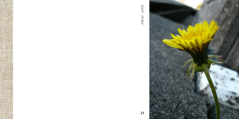 フォトブック 20ページ目