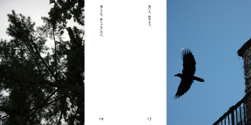 フォトブック 14ページ目