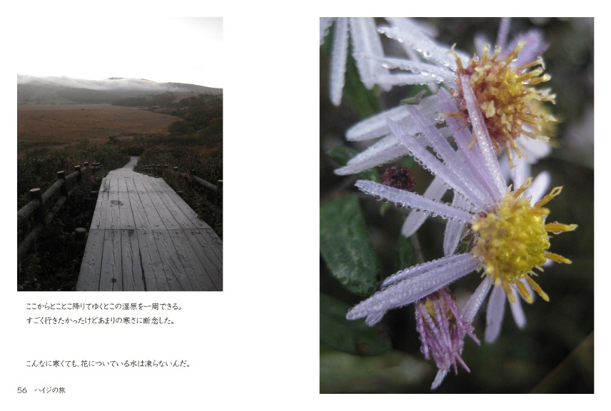 フォトブック 56ページ目