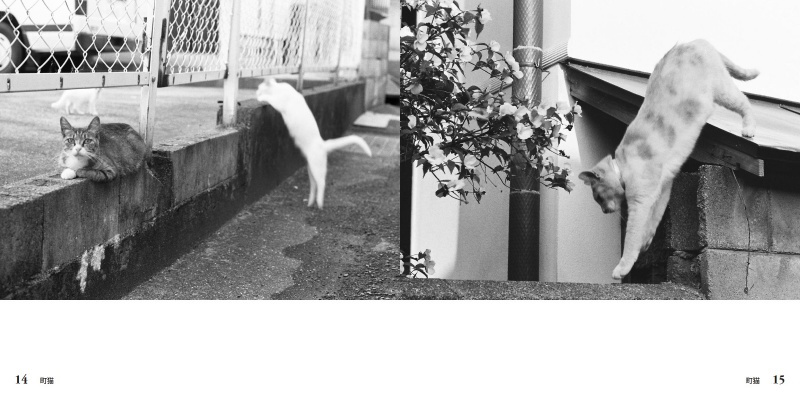 フォトブック 14ページ目