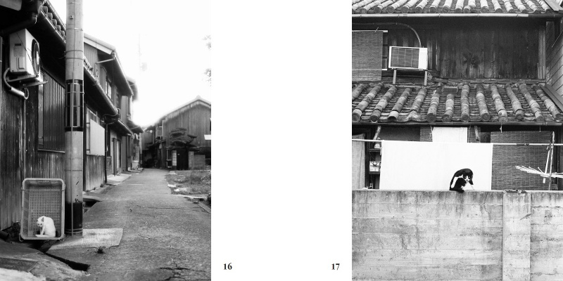 フォトブック 16ページ目