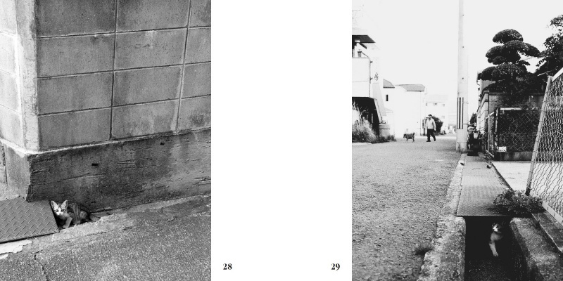 フォトブック 28ページ目