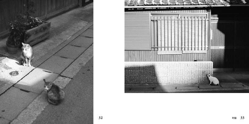 フォトブック 32ページ目