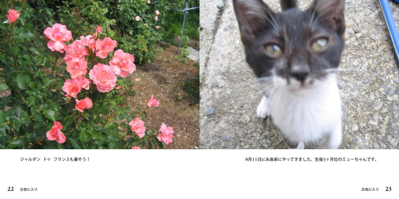 フォトブック 22ページ目