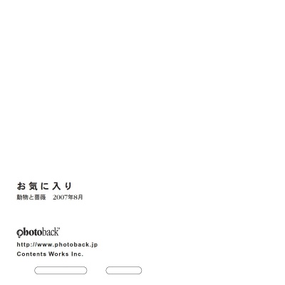 フォトブック ジャケット裏