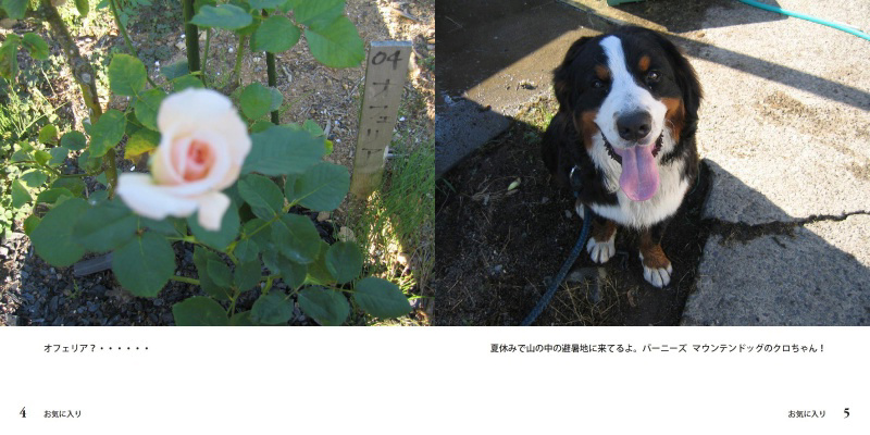 フォトブック 4ページ目