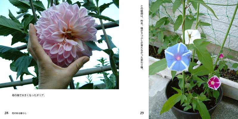 フォトブック 28ページ目