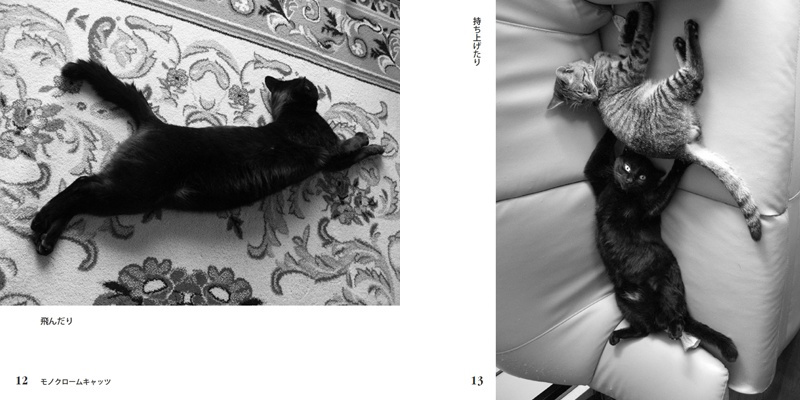 フォトブック 12ページ目