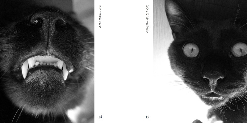 フォトブック 14ページ目