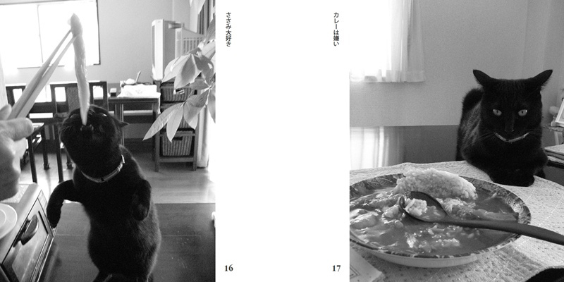 フォトブック 16ページ目
