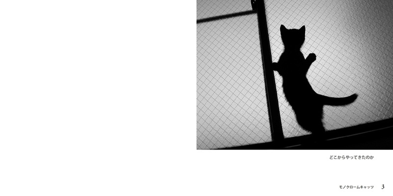 フォトブック 2ページ目