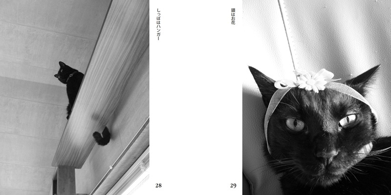 フォトブック 28ページ目