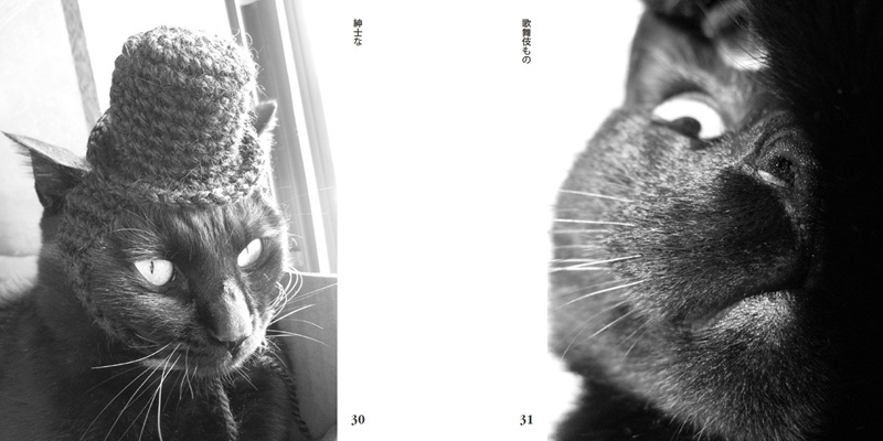 フォトブック 30ページ目