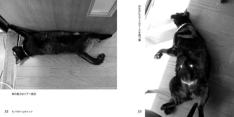 フォトブック 32ページ目